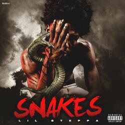 Snakes