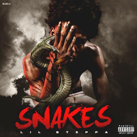 Snakes