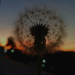 The closest I can be to you