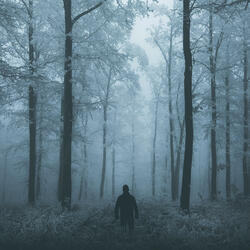 rocky rhythm's (feat. wolfrum.)