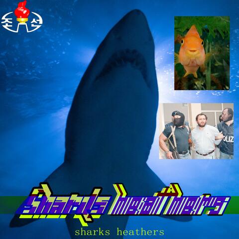 Sharks