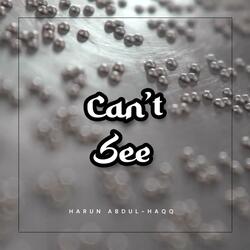 Can't See (feat. Ammar Acapella & Malik Adam)