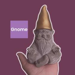 Gnome