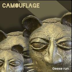 Camouflage