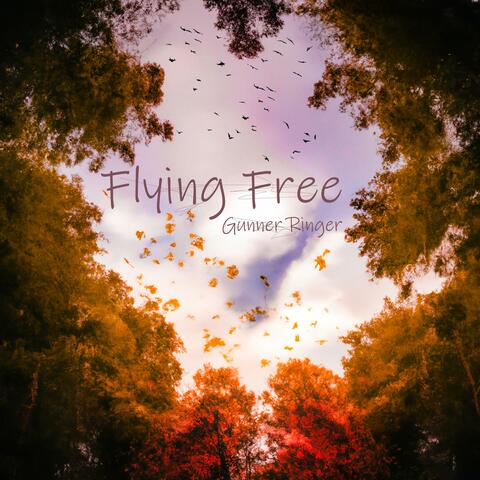 Flying Free