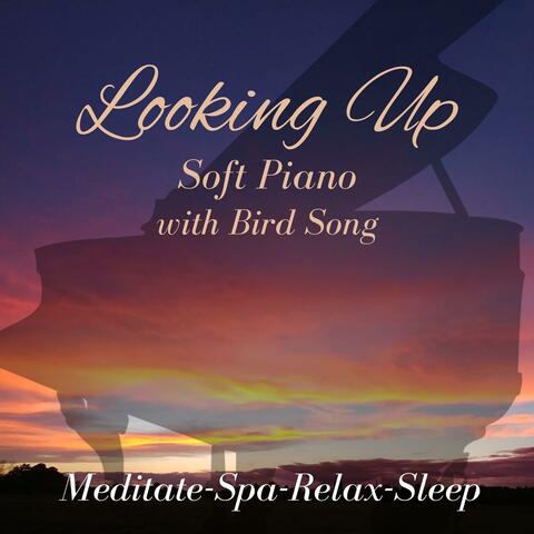 Looking Up: Soft Piano with Bird Song Meditate Spa Relax Sleep