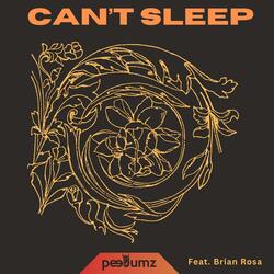CAN'T SLEEP (feat. Brian Rosa)