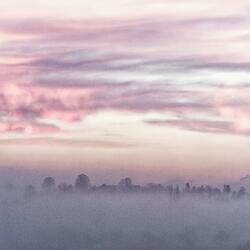 mist