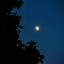 Black Balloons (Moonlight Mix)