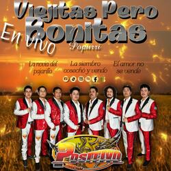 La novia del pajarillo / La siembro cosecho y vendo / El amor no se vende