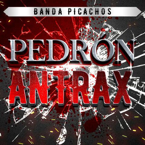 Pedron Antrax