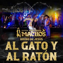 Al Gato Y Al Ratón