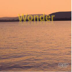 Wonder
