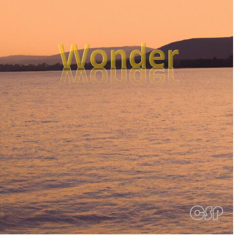 Wonder