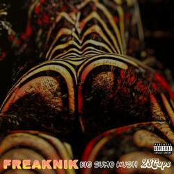 Freaknik (feat. Big Sumo Kush)