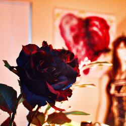 I Want