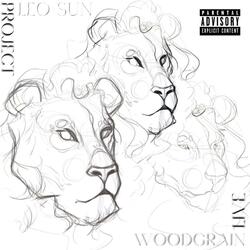 WoodGrain1.wav