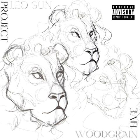 WoodGrain1.wav