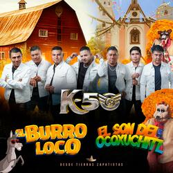 El Burro Loco Y El Son De Ocoxuchitl