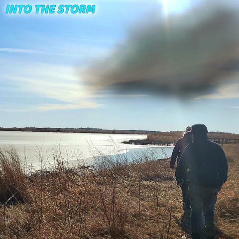 Into the Storm (feat. R-Willy) [Single]