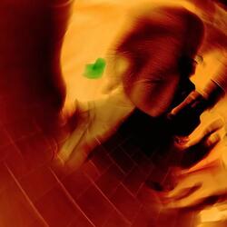 Leben oder Leben Lassen