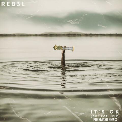 It's Ok (POPSMASH REMIX) [Cry For Help]