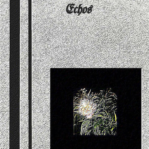 Echos