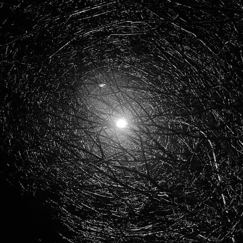 Liminal Gaze