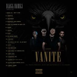 Testaman Black-Hawks