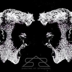 Voices In My Head