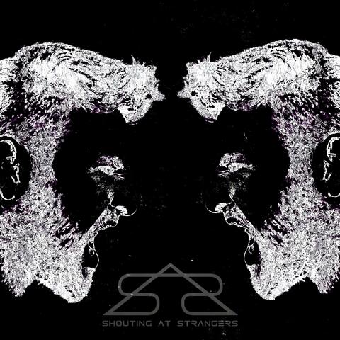 Voices In My Head