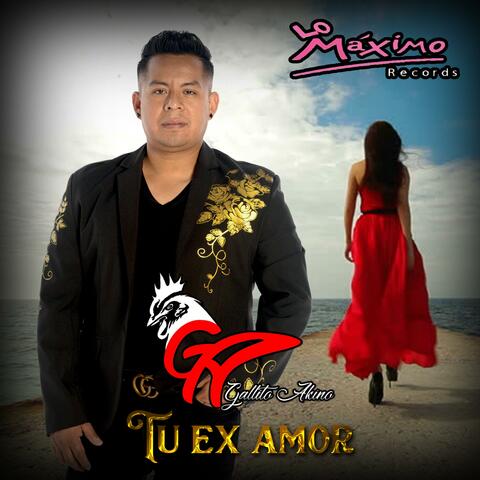 Tu Ex Amor