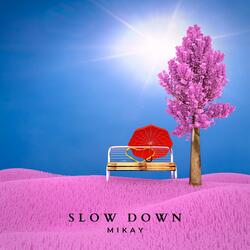 SLOW DOWN (feat. Efemor)