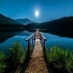 Into The Moonlight
