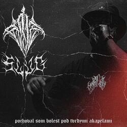 pochoval som bolesť pod tvrdými akapelami