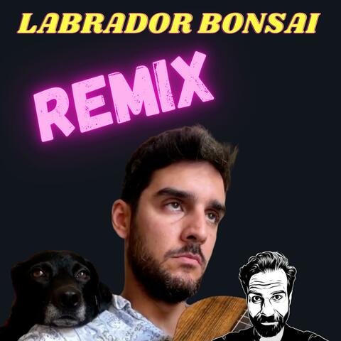 Labrador Bonsai (feat. Jorge Bolaños)