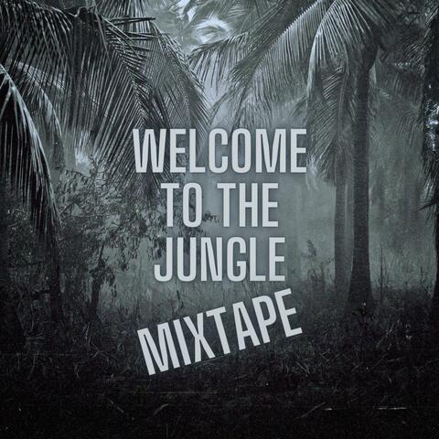 Welcome To The Jungle