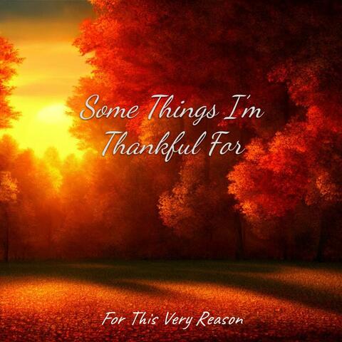 Some Things I'm Thankful For