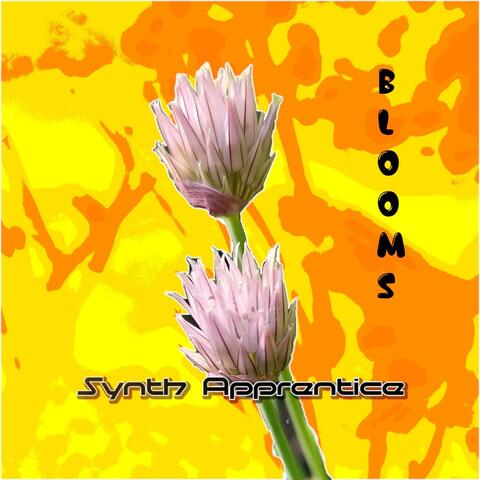Blooms