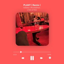 PLANT