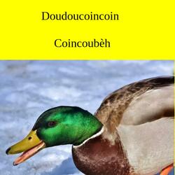 Coincoubèh