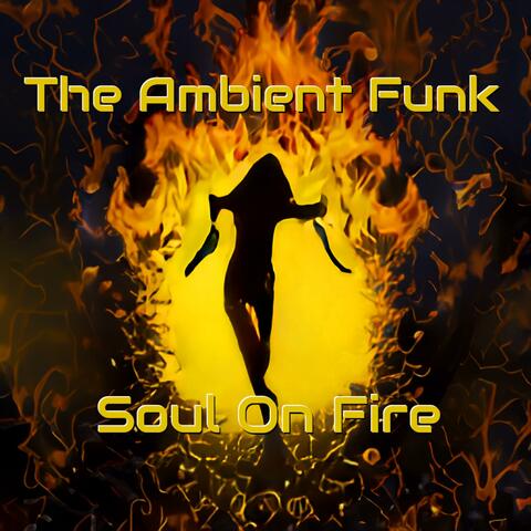Soul On Fire