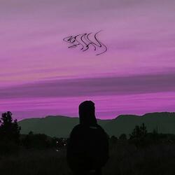 Stay