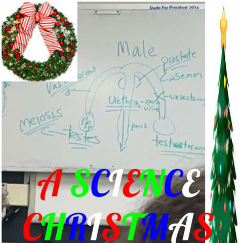 A Science Christmas