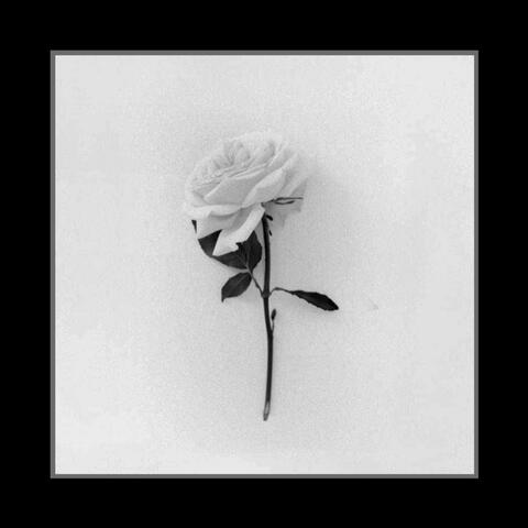 White Lies (feat. Sh!nki)