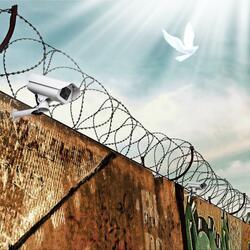 Freiheit ist mein Ziel (feat. Lichtgesicht)