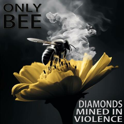 Diamonds Mined in Violence