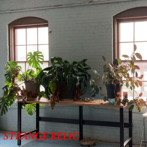 Strange Relic EP
