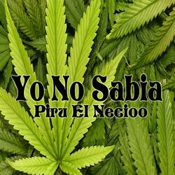 Yo No Sabia
