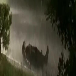 I'd Rather Fade Away